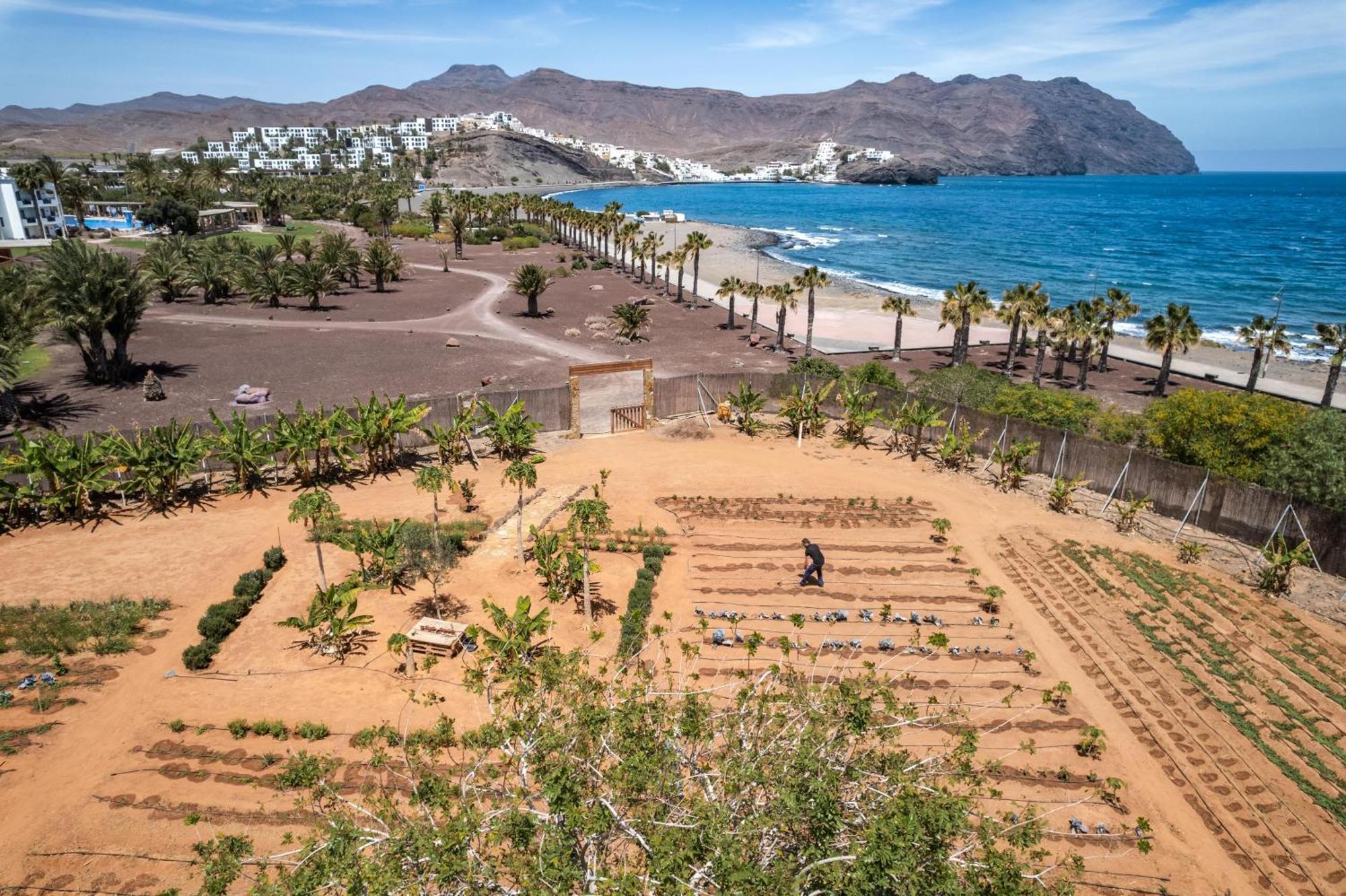 Playitas Villas - Sports Resort Las Playitas 외부 사진